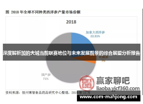 深度解析加的夫城当前联赛地位与未来发展前景的综合展望分析报告 深度解析加的夫城当前联赛地位与未来发展前景的综合展望分析报告