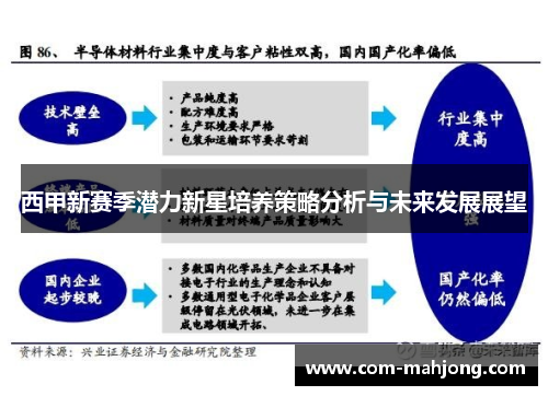 西甲新赛季潜力新星培养策略分析与未来发展展望 西甲新赛季潜力新星培养策略分析与未来发展展望