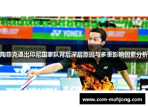 陶菲克退出印尼国家队背后深层原因与多重影响因素分析