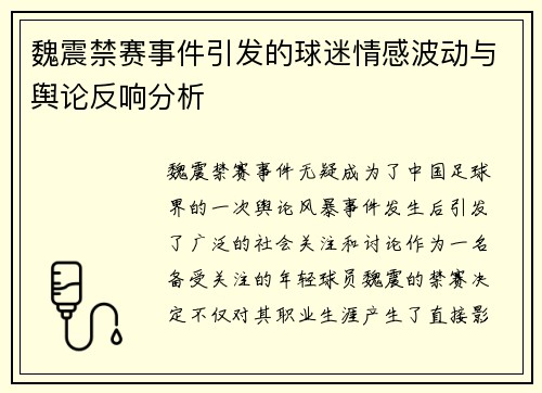 魏震禁赛事件引发的球迷情感波动与舆论反响分析 魏震禁赛事件引发的球迷情感波动与舆论反响分析